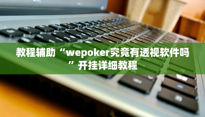 实测教程”WePoker私人局透视挂作弊辅助方法”(原来确实是有挂)