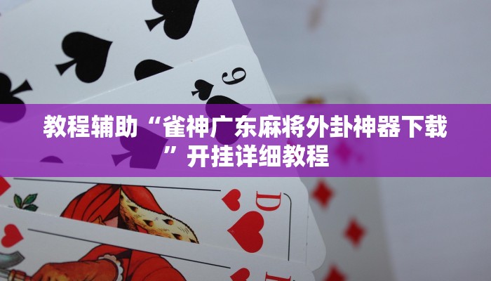 辅助神器“微乐干瞪眼有透视吗”(原来确实是有挂)