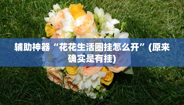 教程辅助!“盟友互娱开挂辅助软件”原来真可以开挂