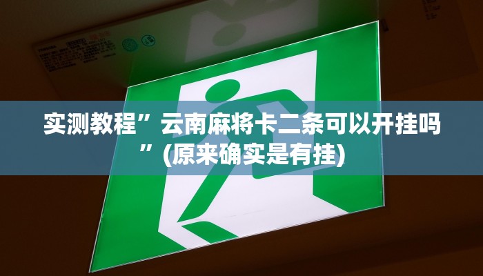 实测教程”白金岛跑胡子开挂辅助教程”(详细开挂教程)