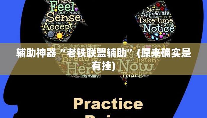 辅助神器“边锋二七十透视挂”开挂详细教程