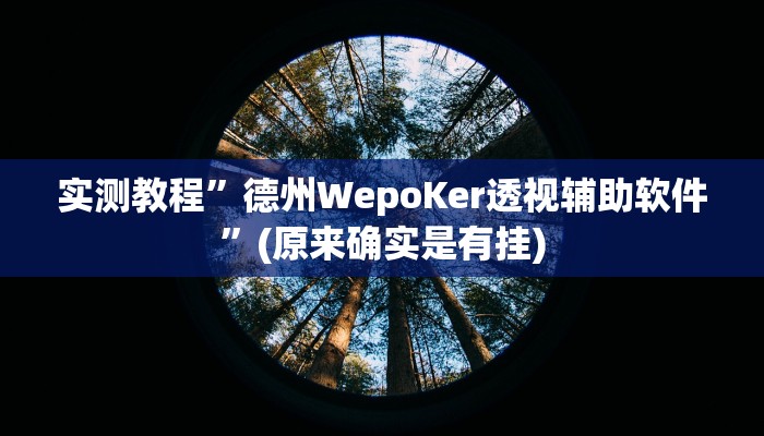 教程辅助“闲来广东麻将开挂器下载”(原来确实是有挂)