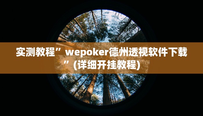 实测教程”wepoker德州透视软件下载”(详细开挂教程)