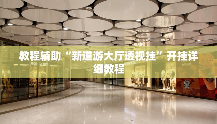 教程辅助“新道游大厅透视挂”开挂详细教程