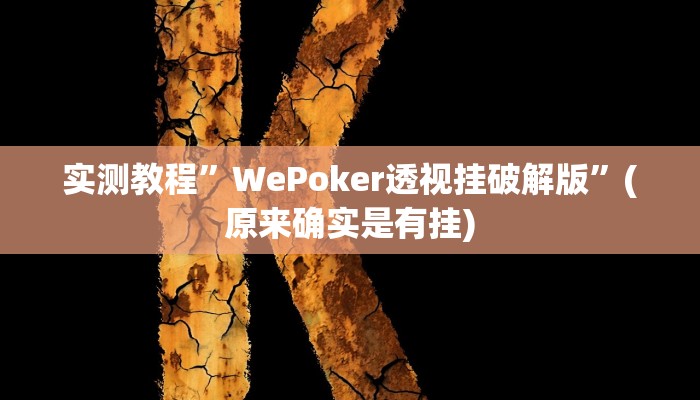 教程辅助“摸一把跑得快可以开透视挂吗”开挂详细教程