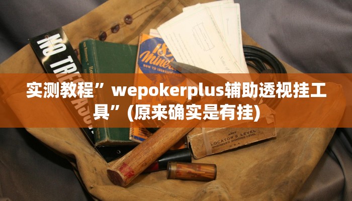 辅助神器“中至吉安王炸怎么开挂”(原来确实是有挂)