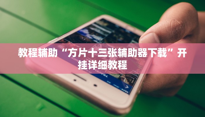 教程辅助“方片十三张辅助器下载”开挂详细教程