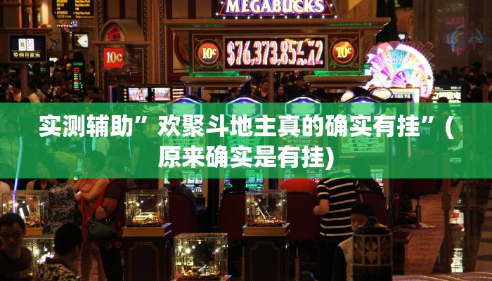 辅助神器“乐酷副厅确实有透视挂”开挂详细教程