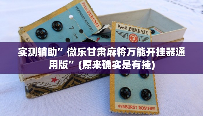 辅助神器“大赢家跑得快挂”(原来确实是有挂)