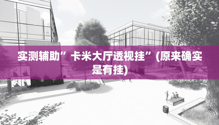 实测辅助”卡米大厅透视挂”(原来确实是有挂)