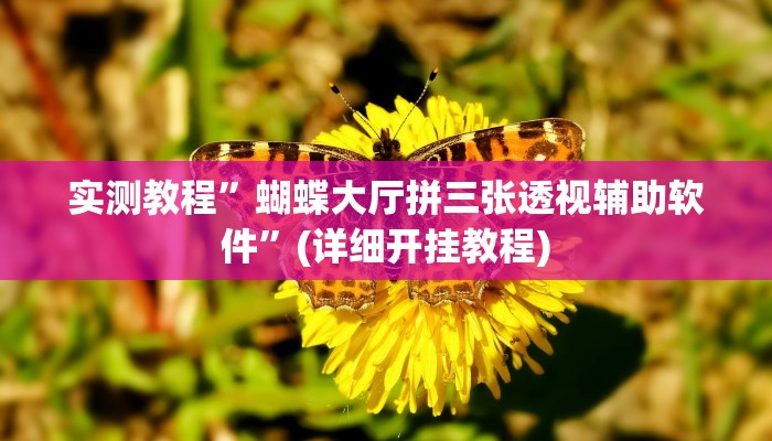 实测教程”蝴蝶大厅拼三张透视辅助软件”(详细开挂教程)