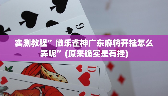 实测辅助”永胜联盟开挂辅助软件”开挂详细教程