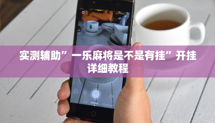 实测辅助”大唐麻将外卦神器免费版”(原来确实是有挂)