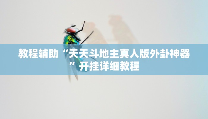 教程辅助“天天斗地主真人版外卦神器”开挂详细教程