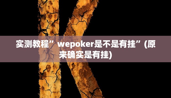 教程辅助!“WePoKer辅助挂透视软件”其实确实有挂