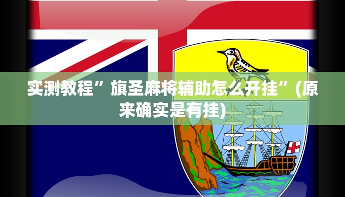 实测教程”功夫川麻辅助器多少钱”(原来确实是有挂)
