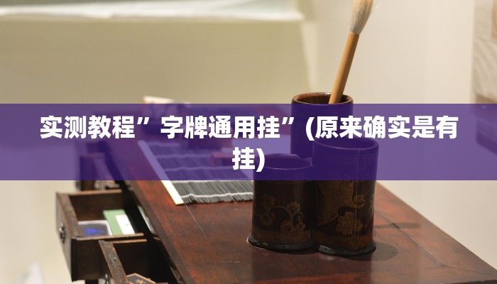 实测教程”随身13道挂怎么安装”(原来确实是有挂)
