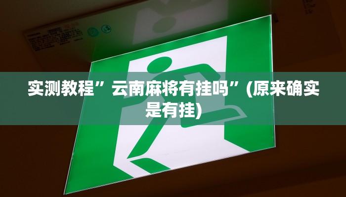 实测教程”WePoker透视挂作弊教程”(原来确实是有挂)