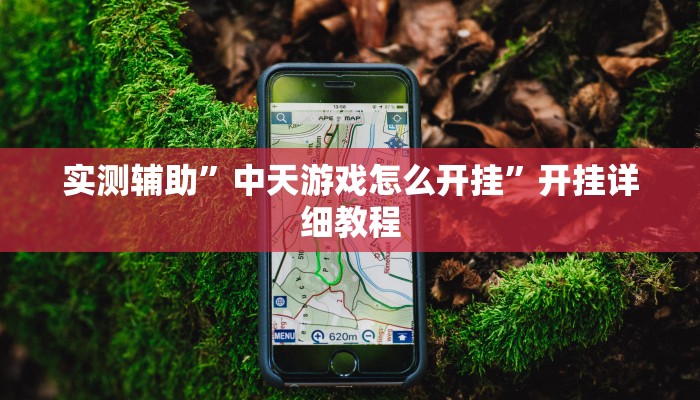 实测教程”玖天乐游十三水开挂神器”(原来确实是有挂)