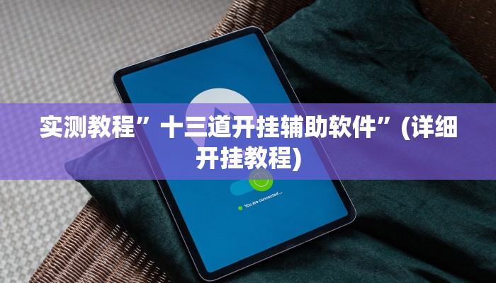 实测教程”十三道开挂辅助软件”(详细开挂教程)