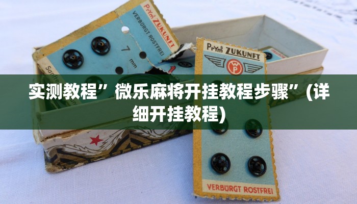实测教程”十三水挂怎么安装”(原来确实是有挂)