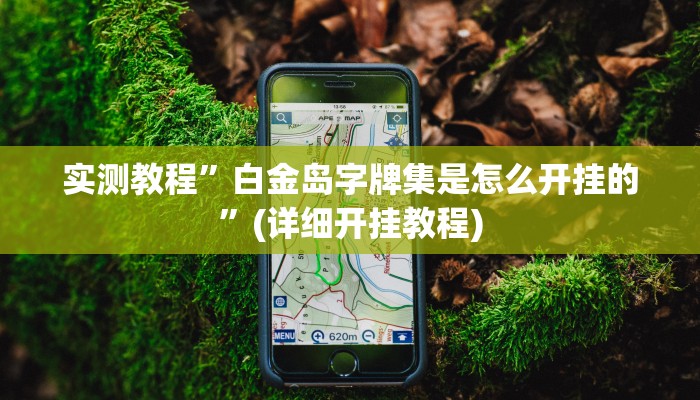 实测教程”白金岛字牌集是怎么开挂的”(详细开挂教程)
