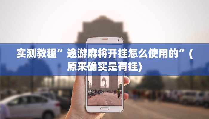 辅助神器“风风字牌怎么开挂”(原来确实是有挂)