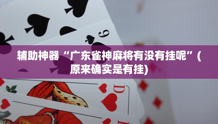 实测辅助”和和斗地主透视底牌”(原来确实是有挂)