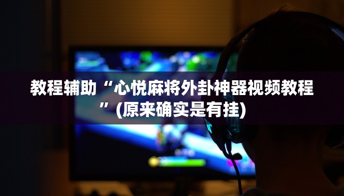 实测辅助”微乐过炸开挂神器”(原来确实是有挂)