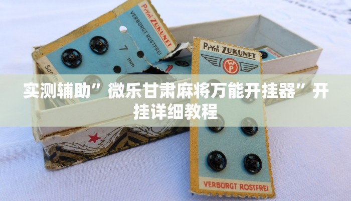 实测教程”网易棋牌安装什么外挂软件”(原来确实是有挂)