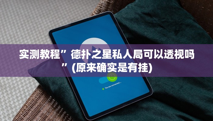 辅助神器“福建十三水万能辅助器”(原来确实是有挂)