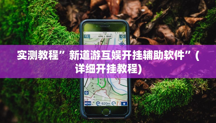 实测教程”新道游互娱开挂辅助软件”(详细开挂教程)