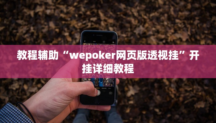 教程辅助!“牛魔王大厅透视挂方法教程”原来真可以开挂