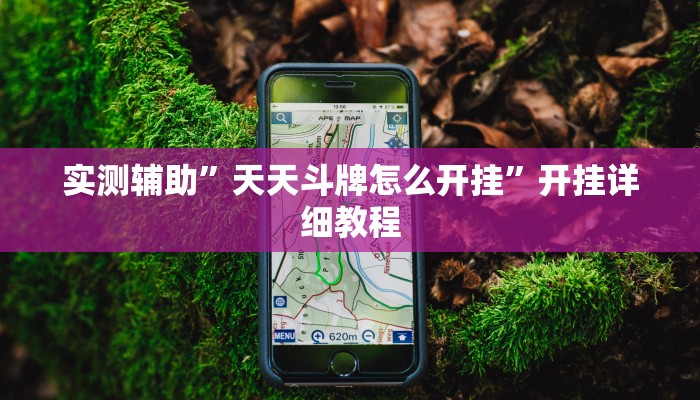 辅助神器“新中游大厅确实真的有挂”开挂详细教程