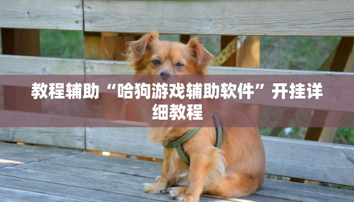 教程辅助!“闽游在线开挂辅助器”其实确实有挂