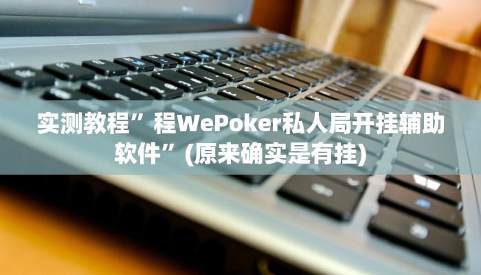 教程辅助!“友友联盟作弊”其实确实有挂