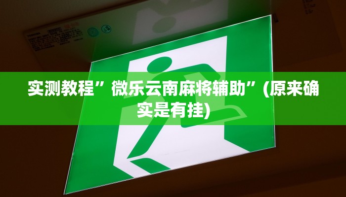 实测教程”微乐云南麻将辅助”(原来确实是有挂)