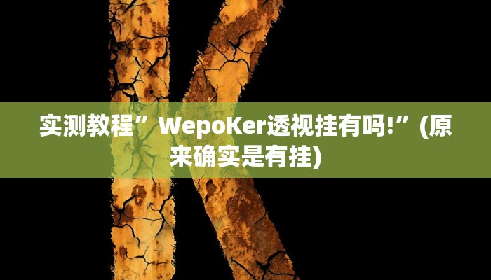 实测辅助”wepoker德州辅助软件挂”开挂详细教程