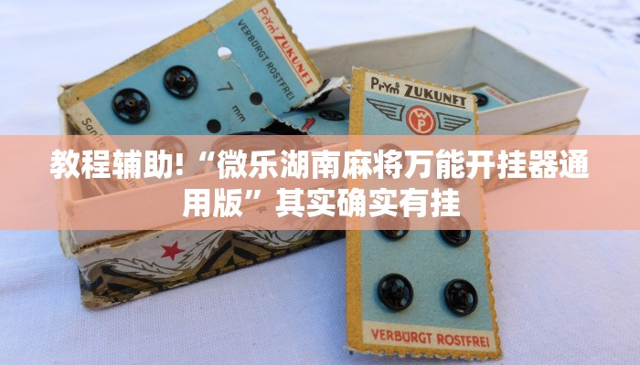 教程辅助!“微乐湖南麻将万能开挂器通用版”其实确实有挂