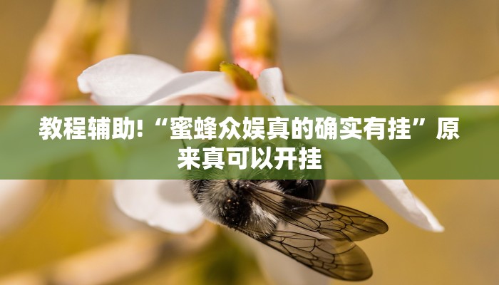 实测辅助”新漫游牛牛有透视软件吗”开挂详细教程