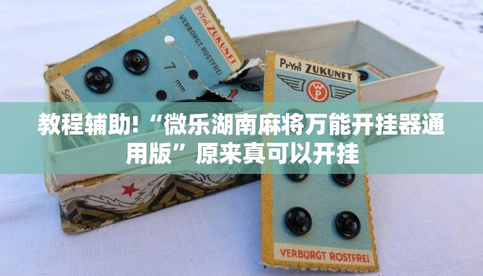 实测教程”wepoker辅助开挂方法”(原来确实是有挂)