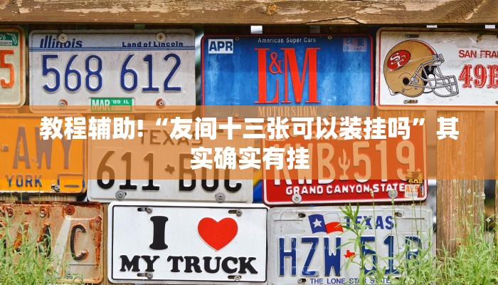 教程辅助!“友间十三张可以装挂吗”其实确实有挂