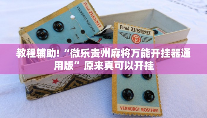 教程辅助!“微乐贵州麻将万能开挂器通用版”原来真可以开挂