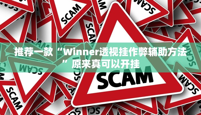推荐一款“Winner透视挂作弊辅助方法”原来真可以开挂