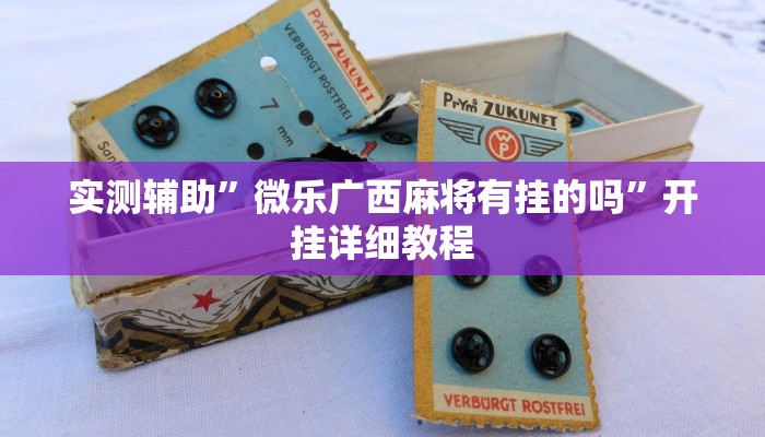 实测辅助”微乐广西麻将有挂的吗”开挂详细教程