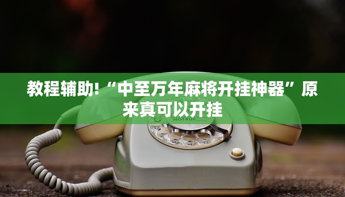 教程辅助!“中至万年麻将开挂神器”原来真可以开挂