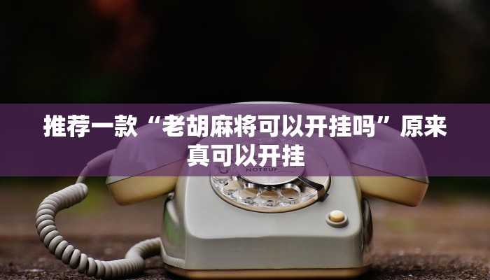 推荐一款“老胡麻将可以开挂吗”原来真可以开挂
