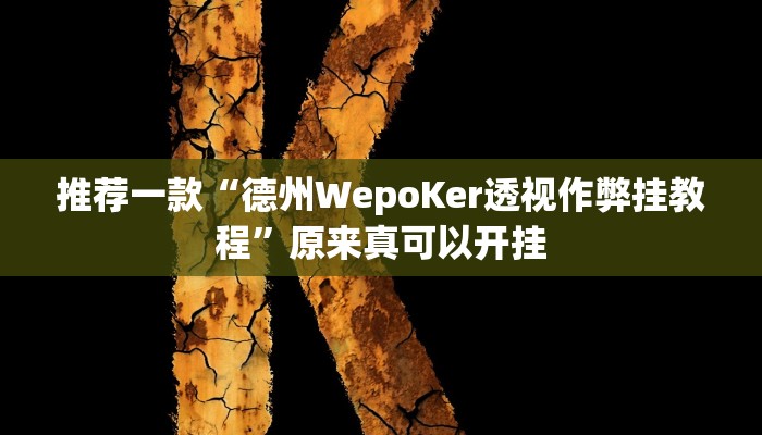 教程辅助“新老夫子拼三张可以开挂吗”(原来确实是有挂)
