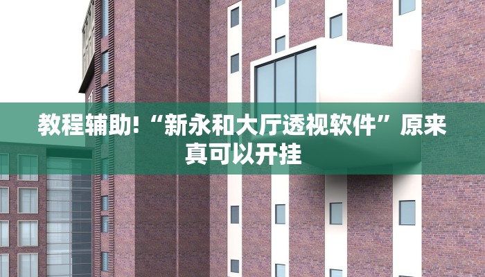 教程辅助!“新永和大厅透视软件”原来真可以开挂
