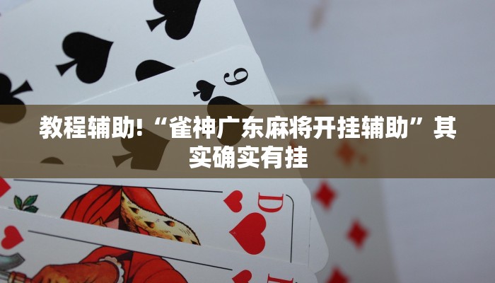 实测教程”欢乐龙城通用挂”(原来确实是有挂)